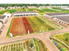 只要人心齐、路子对