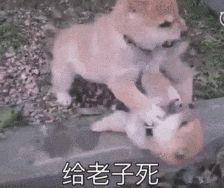 德罗赞两度击伤伦纳德 快船爆冷负国王创队史纪